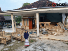 Gempa Akibat Sesar Aktif di Laut Jawa Berpotensi Masih Terjadi, Masyarakat Harus Waspada