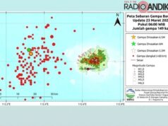 Bukan Sesar Bawean, Titik Pusat Gempa Tersebar di Wilayah Barat Pulau Bawean
