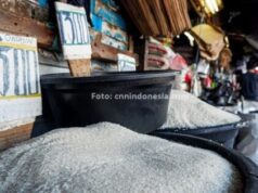 Dirut Bulog Sebut Harga Beras Sulit Turun ke Level Tahun Lalu