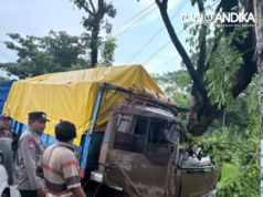 Truk Gandeng Tabrak Pohon dan Terperosok di Kayen Kidul