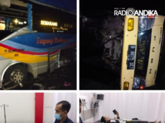 Update Insiden Lalin Bus Sugeng Rahayu dan Truk Box di Bagor Nganjuk