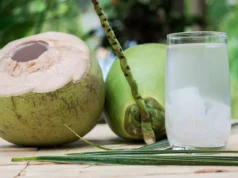 5 Manfaat Bagi Tubuh Jika Rutin Minum Air Kelapa Setiap Hari