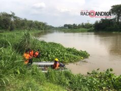 Wanita Tenggelamkan Diri di Sungai Brantas Tulungagung, Pencarian Masih Dilakukan
