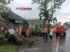 Waspada! Ini Daerah Rawan Bencana di Tulungagung