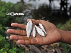 Penyetruman Ikan di Sungai Brantas, Jasa Tirta: Patroli Ditingkatkan!
