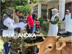 Ratusan Ternak di Kediri Terjangkit PMK, DKPP Ingatkan Pentingnya Vaksinasi!