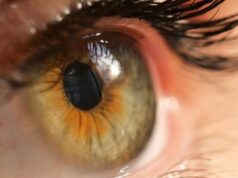 10 Makanan Terbaik untuk Kesehatan Mata, Penglihatan Aman Sampai Tua