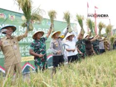 Wakil Wali Kota Kediri Ikuti Panen Padi Serentak Bersama Presiden Prabowo