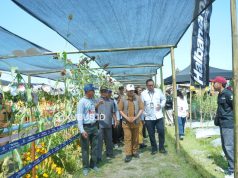 Melalui Gertek, Pemkab Kediri Kenalkan Inovasi dan Teknologi Modern Pada Petani