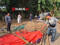 Polisi Gerebek Arena Sabung Ayam di Mojokerto, 5 Orang Diamankan