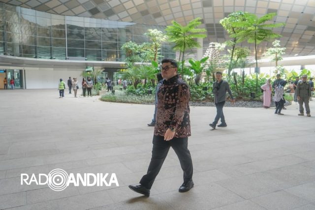 WhatsApp Image 2025-11-09 at 08.02.39