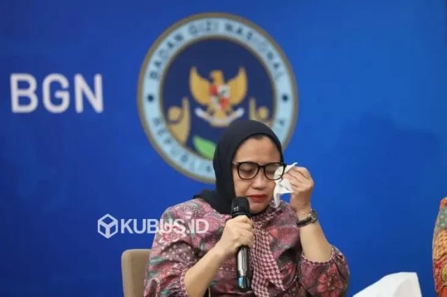 WhatsApp Image 2025-11-11 at 18.56.58