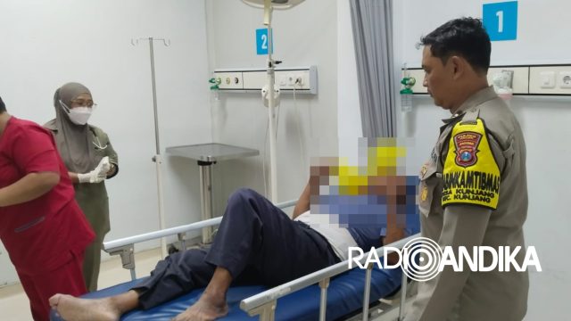 WhatsApp Image 2025-11-17 at 15.32.28(1)