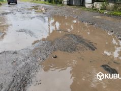 Warga Kepung, Kediri Tanan Pohon Pisang, Tanda Jalan Berlubang