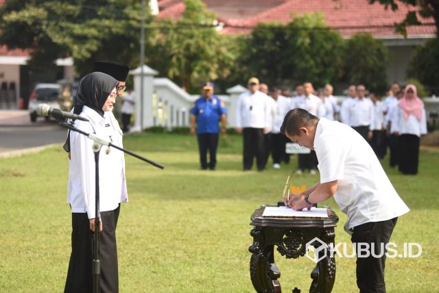 WhatsApp Image 2025-11-26 at 12.43.00