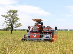 Program Prioritas Prabowo, Sudah Telan Rp 611 Triliun