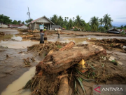 Pemerintah Belum Tetapkan Bencana Nasional untuk Banjir di Sumatera