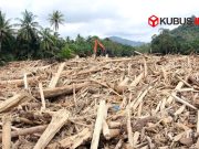 Deforestasi Meluas, Bencana Lingkungan di Sumatra Disebut Akumulasi Kerusakan Hutan