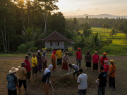 Ada KUHP Baru, Hukuman Pidana Kerja Sosial Berlaku Mulai Januari 2026