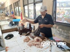 Jelang Nataru, Harga Ayam di Kediri Melambung Akibat Stok Menipis
