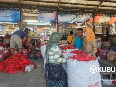 Stok Telur Dan Daging Di Kediri Melimpah Hingga Januari, Disperdagin Waspadai Kenaikan Harga