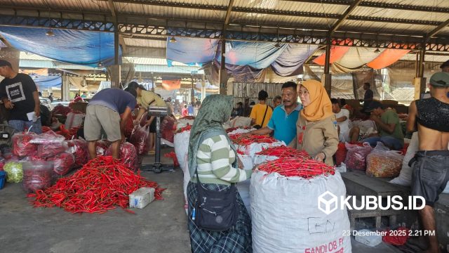 WhatsApp Image 2025-12-26 at 11.20.44