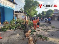 Pertemuan Angin Monsun Asia dan Gangguan Atmosfer jadi Penyebab Angin Kencang di Kediri Raya