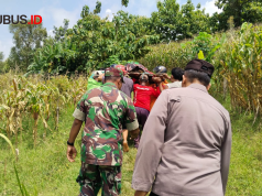 Petani Asal Lamongan Meninggal Saat Garap Sawah