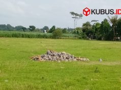 Kades Tempurejo Respon Penolakan Warga Imbas Pembangunan Koperasi Merah Putih di Lapangan Desa