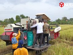 Panen Raya Sambiresik Tegaskan Peran Kediri sebagai Lumbung Pangan Jatim