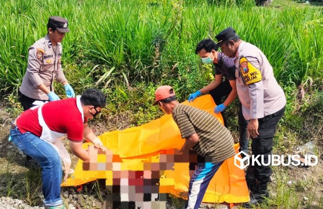 WhatsApp Image 2026-01-09 at 12.18.10