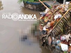 Penemuan Pria Terapung di Saluran Irigasi Nganjuk, Identitas Belum Diketahui