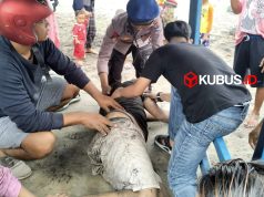 6 Orang Hanyut di Pantai Sine, 1 Korban Masih Dalam Pencarian