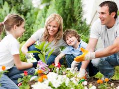 Quality Time yang Tidak Harus Mahal: Kebersamaan Lebih Penting dari Kemewahan