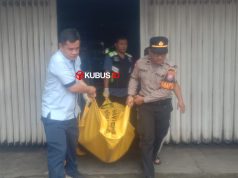 WhatsApp Image 2026 02 11 at 14.26.40