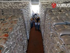 BULOG Kediri Sewa Gudang Tambahan, Stok Beras Melimpah Bukti Optimalnya Serapan Petani
