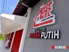 Manajer Koperasi Merah Putih Berstatus Pegawai BUMN, Apa Alasannya?