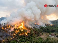 Karhutla Kembali Berulang, Pengamat Ekonomi Soroti Beban Kerugian yang Ditanggung Masyarakat dan Negara Gemini Generated Image 9tq37z9tq37z9tq3