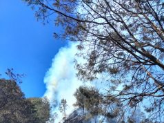 Api Karhutla Bromo Makin Meluas, Petugas Kejar Target Padam Total Jumat Pagi