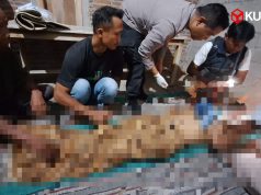 Pulang Kerja, Pria 58 Tahun Tiba-Tiba Tumbang di Pinggir Jalan Blitar